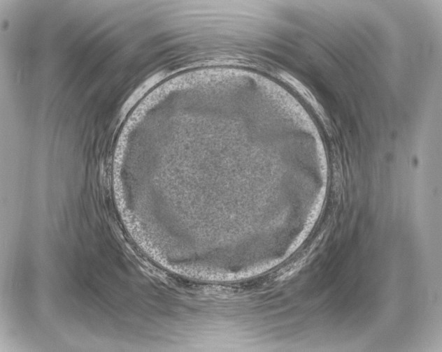 X0000085811097200704091600