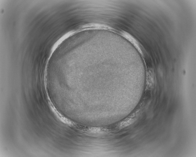 X0000085811098200704091600