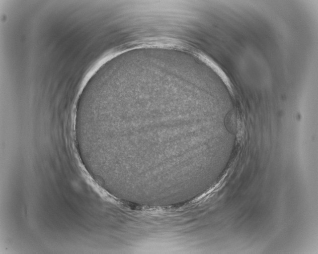 X0000085811099200704091600