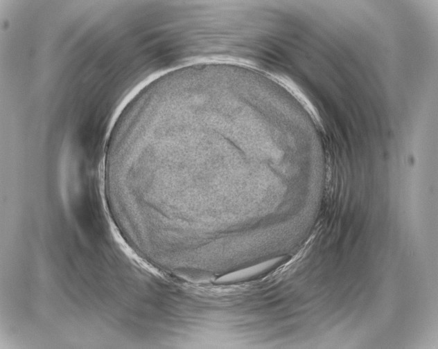 X0000085811100200704091600