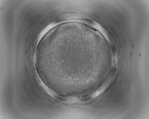 X0000085811101200704091600