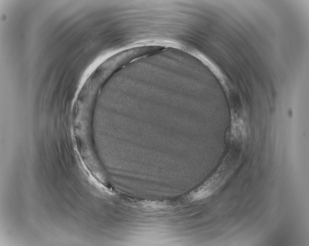 X0000085811102200704091600