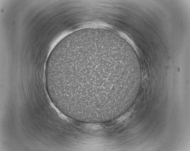 X0000085811103200704091600