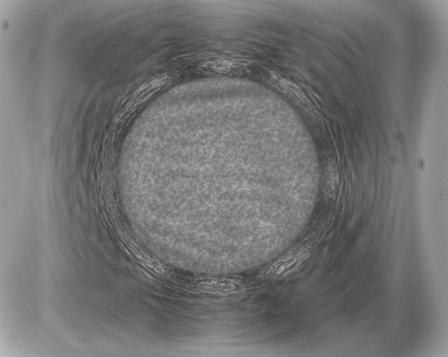 X0000085811105200704091559