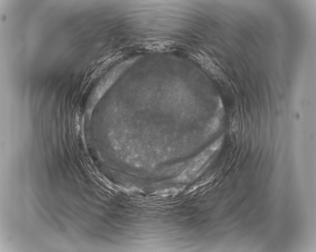 X0000085811106200704091559