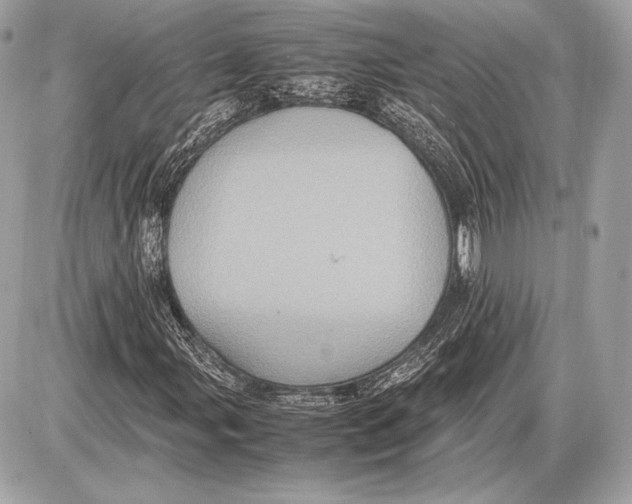 X0000085811107200704091559