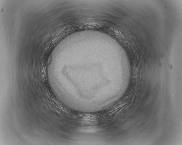 X0000085811109200704091559