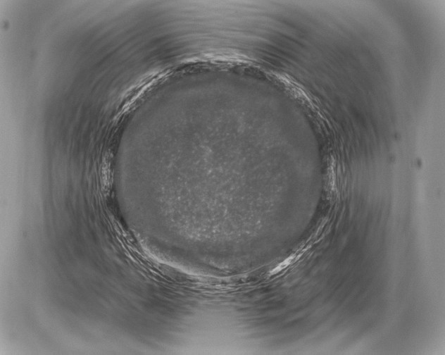 X0000085811110200704091559