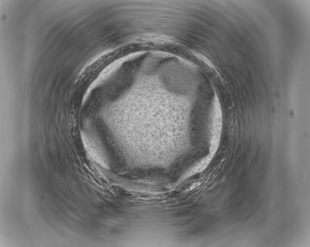 X0000085811112200704091559