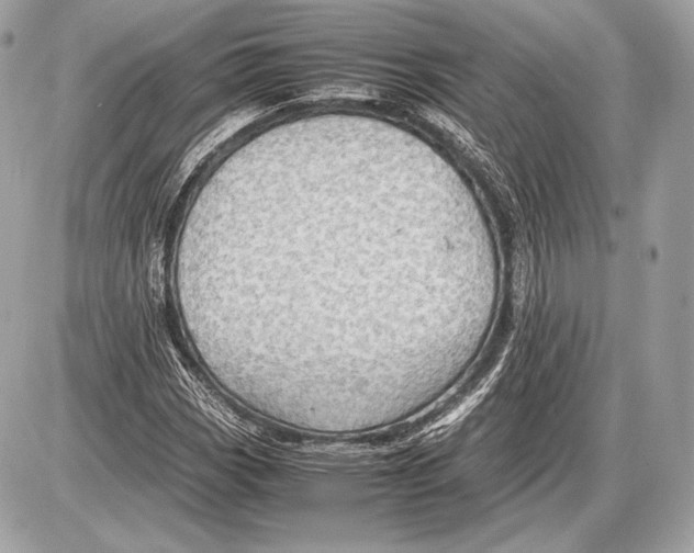 X0000085811113200704091559