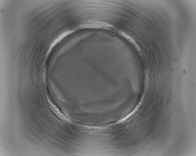 X0000085811114200704091559