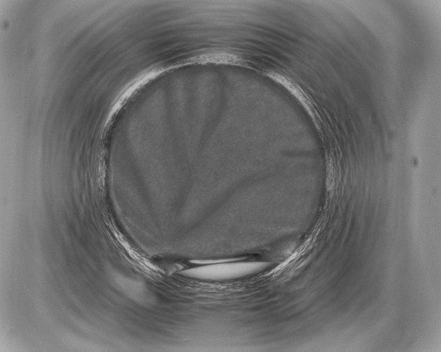 X0000085811115200704091559