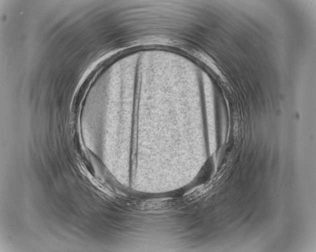 X0000085811116200704091559