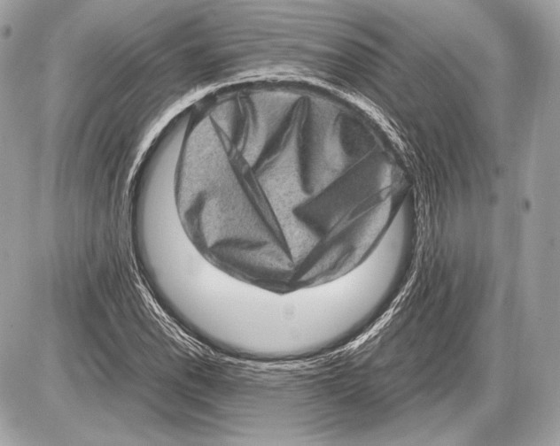 X0000085811118200704091559