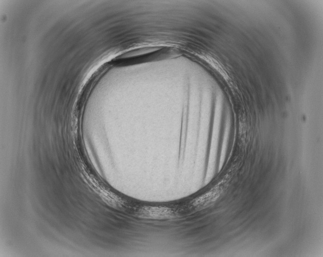 X0000085811119200704091559