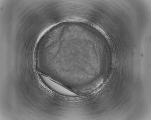 X0000085811120200704091559