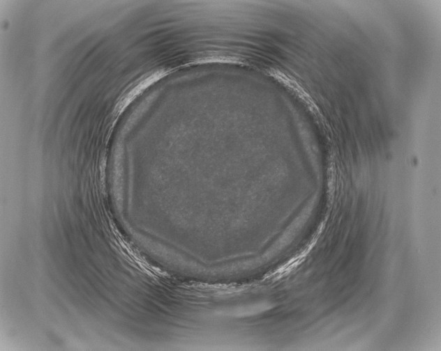 X0000085811121200704091559