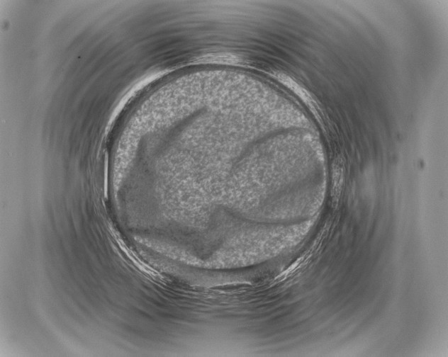 X0000085811123200704091559