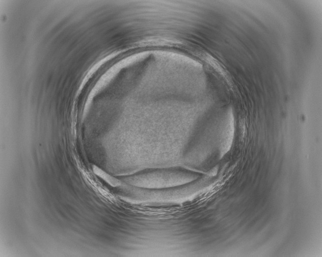 X0000085811124200704091559