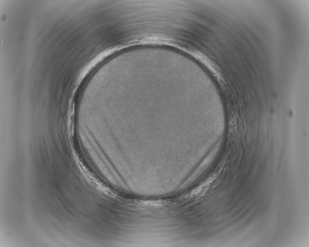 X0000085811126200704091559