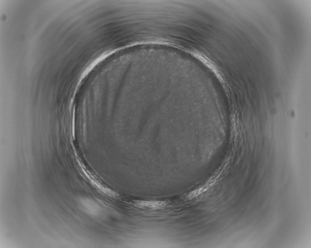 X0000085811127200704091559