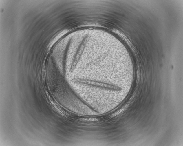 X0000085811129200704091559