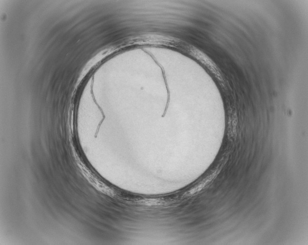 X0000085811130200704091559