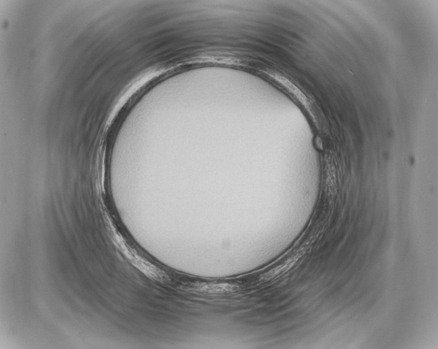 X0000085811131200704091559