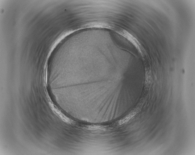 X0000085811132200704091559