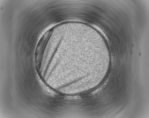 X0000085811133200704091600