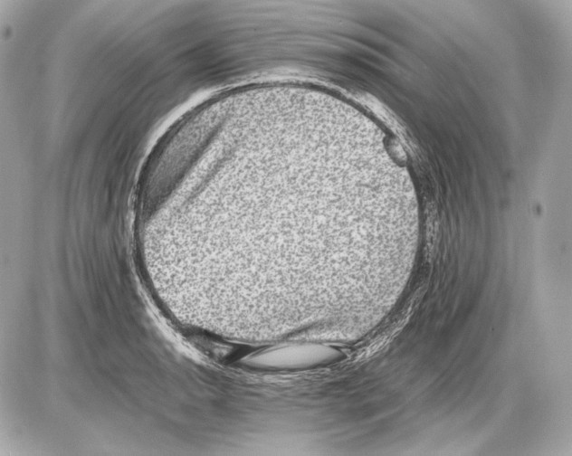 X0000085811134200704091600