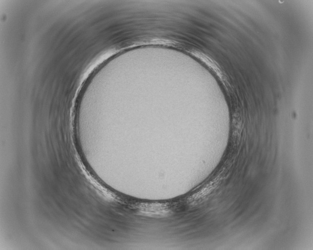 X0000085811135200704091600