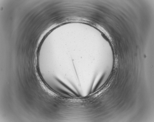 X0000085811136200704091600