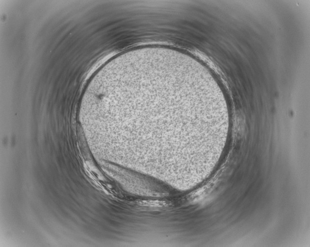 X0000085811137200704091600