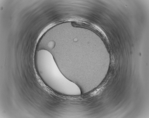 X0000085811138200704091600