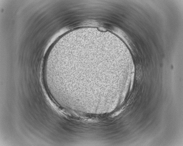 X0000085811139200704091600