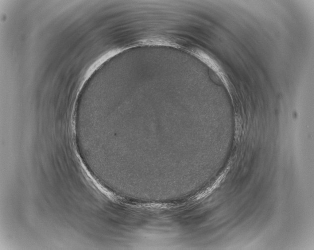 X0000085811141200704091600