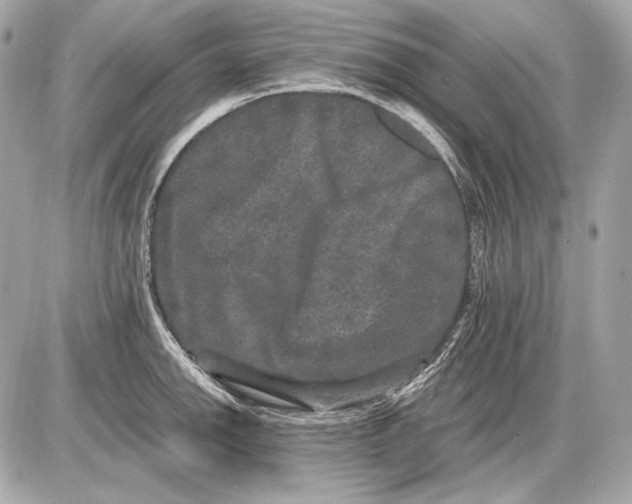 X0000085811142200704091600