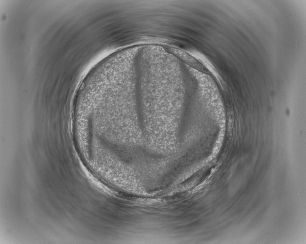 X0000085811143200704091600