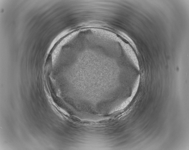 X0000085811146200704091600