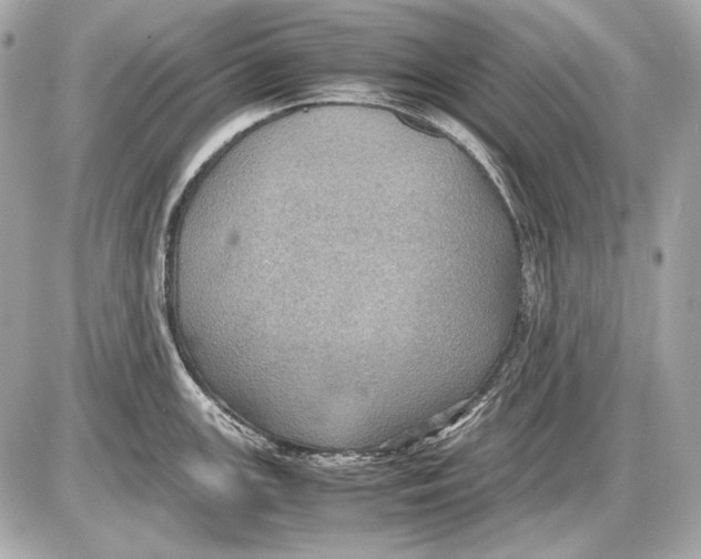 X0000085811147200704091600