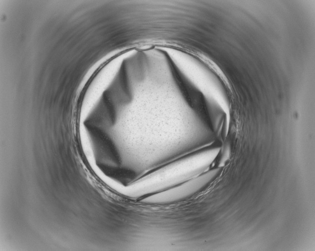 X0000085811148200704091600