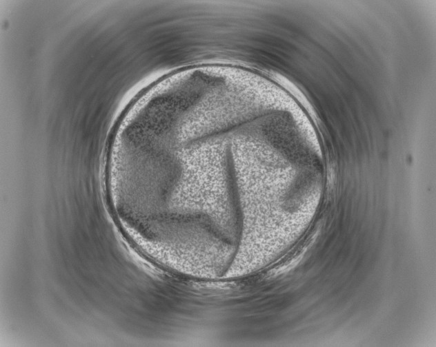 X0000085811149200704091600