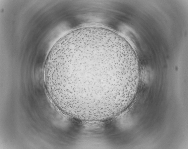 X0000085811150200704091600