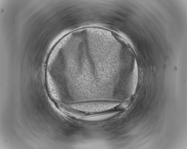 X0000085811151200704091600