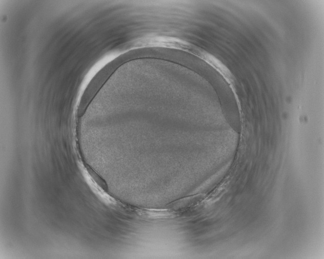 X0000085811152200704091600