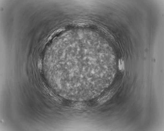 X0000085811155200704091559