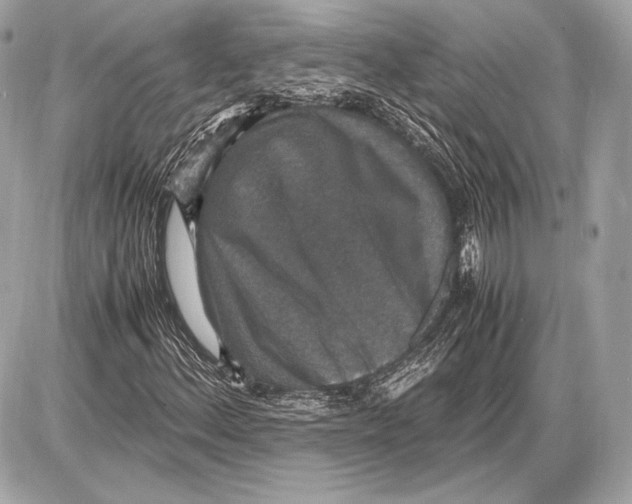 X0000085811156200704091559