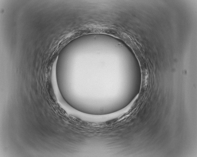 X0000085811157200704091559