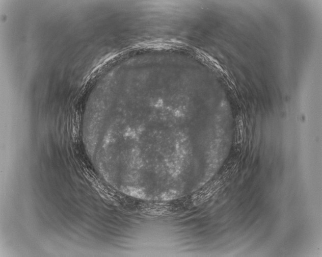 X0000085811158200704091559